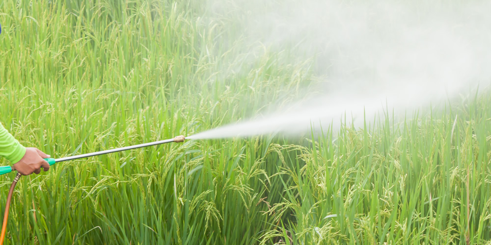 Bharat Agrochemical Consultants Pesticide Consultancy